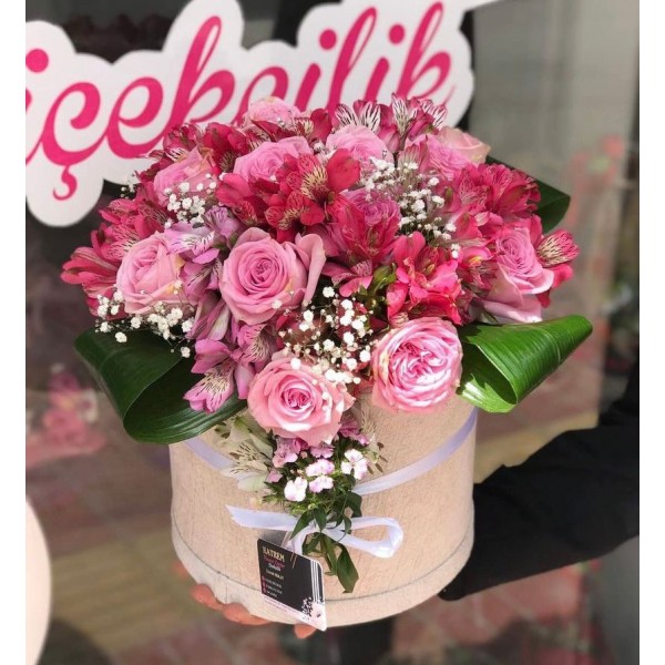 PEMBE DÜNYASI