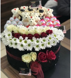 KUTU DÜNYASI 2