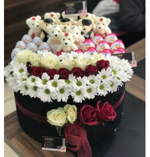 KUTU DÜNYASI 2