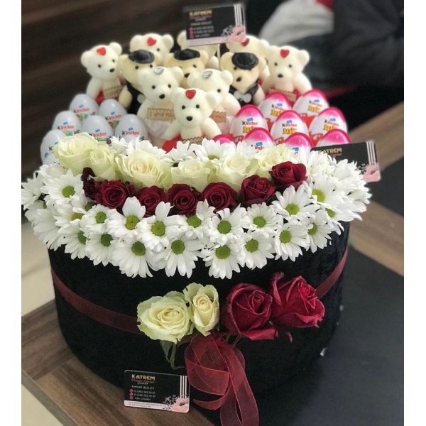 KUTU DÜNYASI 2