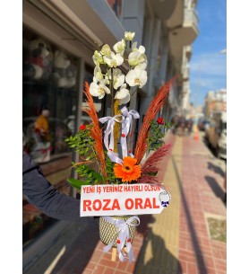 ORKİDE