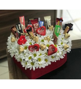 KALPLİ KUTUM